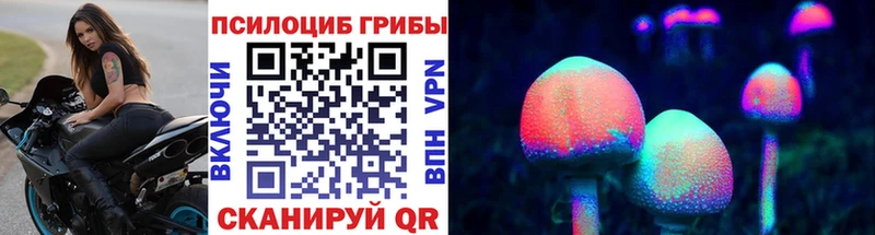 где купить наркотик  Звенигород  Галлюциногенные грибы GOLDEN TEACHER 
